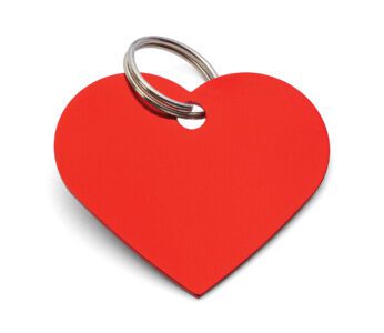 article image -